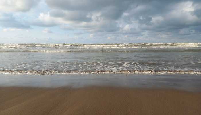 Is the Caspian Sea Going to Experience Aral Sea Syndrome?