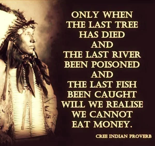 Midnight stutters of an environmentalist, an open letter to the people and places of the planet