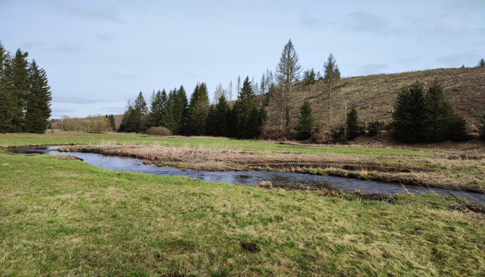 Prevent before repair: What a new hydrology-based index reveals about river ecological status