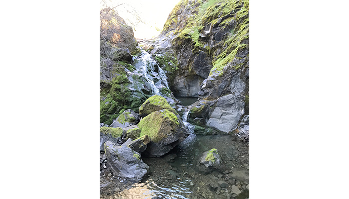 Can Machine Learning Help Us Monitor Streams?