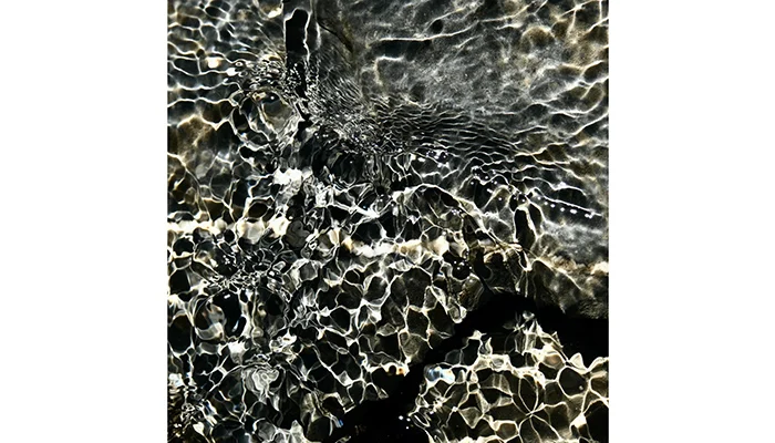 Regarding Flowing Waters – The Science and Art of Hydrology