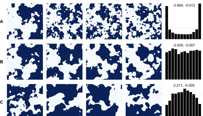 NPG Paper of the Month: “Beyond univariate calibration: verifying spatial structure in ensembles of forecast fields”