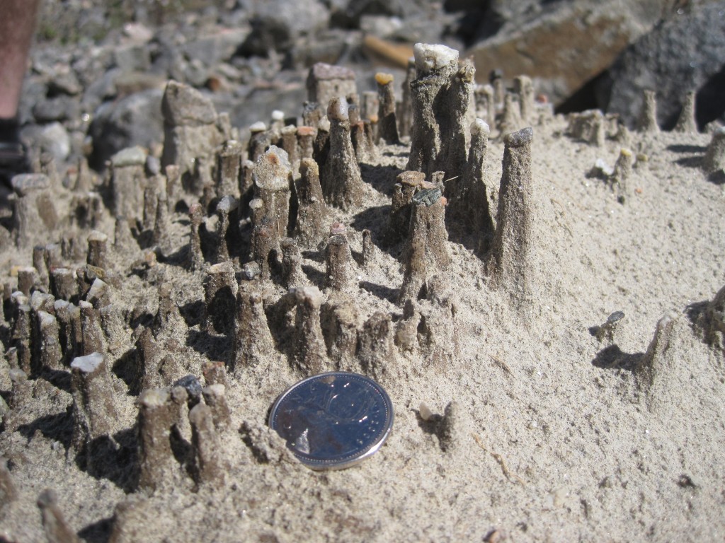 Blast from the Past: It’s all about scales