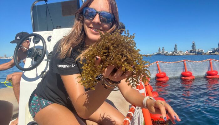 From Academic Research to Start-Up: A Marine Biologist’s Algae Farming Vision