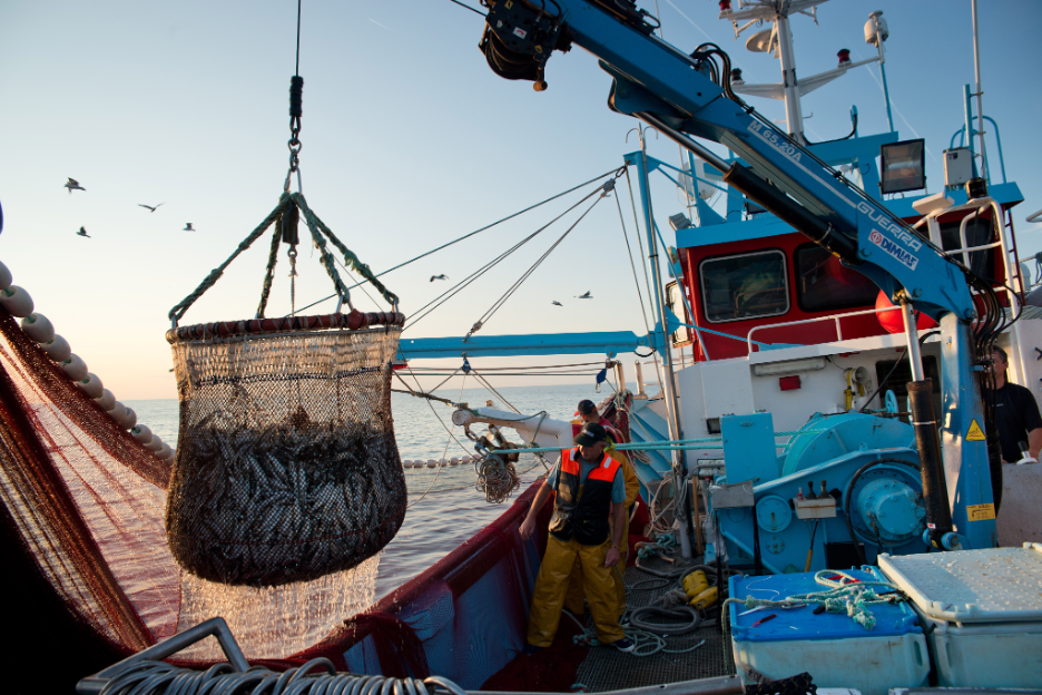 Call for input: A Fisherman’s Guide to Marine Carbon Dioxide Removal