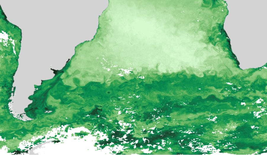 A synergy of observations: Filling the gaps in an ocean colour chlorophyll-a record