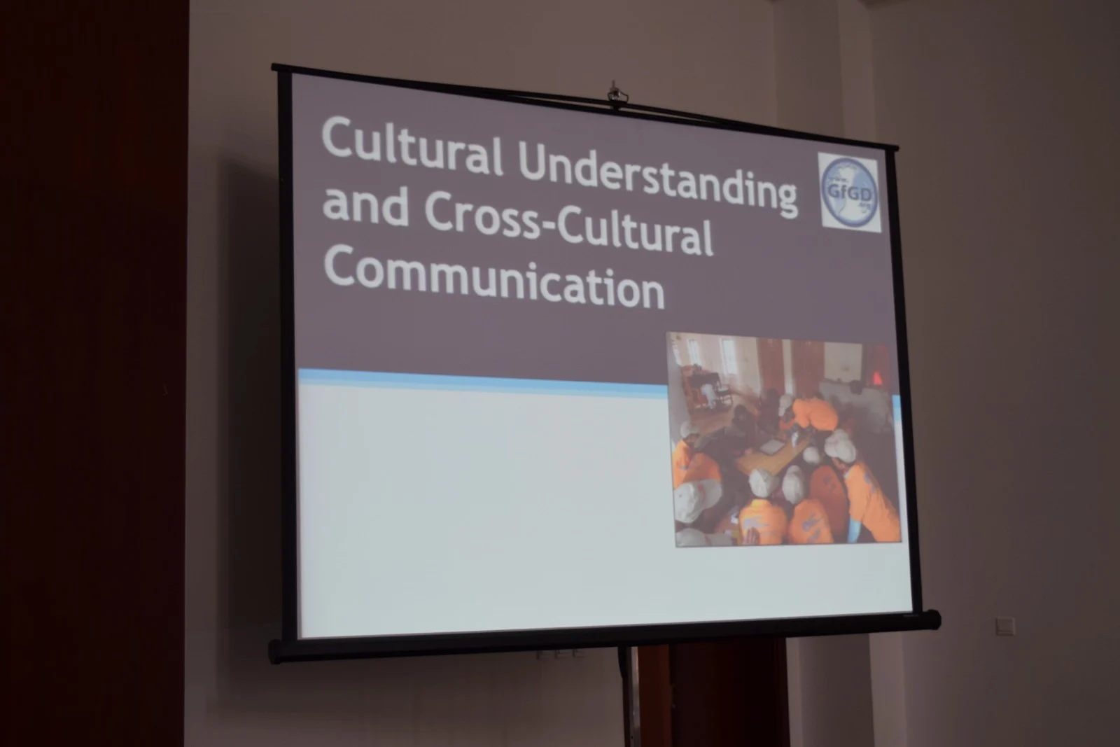 Cultural Communication Workshop in Tanzania at the YES Network Congress (August 2014).