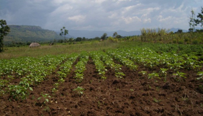 Guest Blog: Micronutrients, Hidden Hunger and Geology