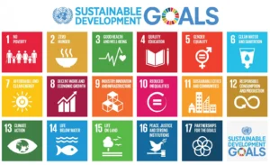 SDGs