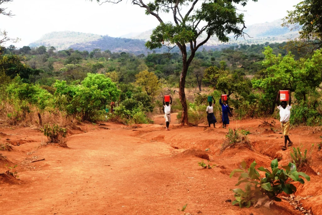 Geology for Global Development – Our Story, Our Future