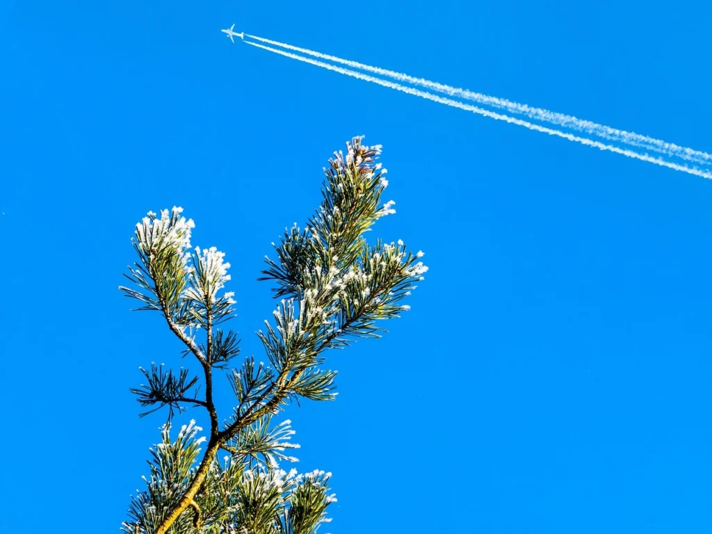 The Case Against Fieldwork – How can we internalise the carbon cost of fieldwork, as scientists who investigate the earth system?