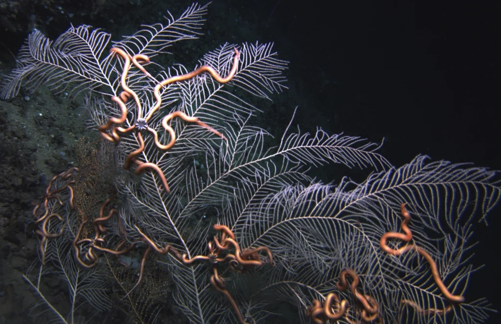 New mining frontiers: Digging into the unknown