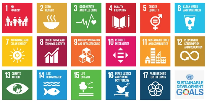 Demonstrating the Importance of Geoscience in the Transformation Towards Sustainable and Resilient Societies