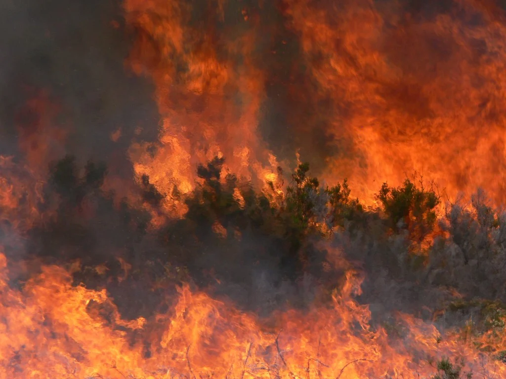 Prescribed burn in Portugal. Photo by Vicky Arcenegui, University Miguel Hernández, Spain.