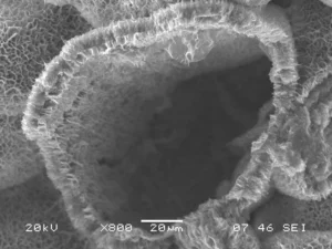 Smectite, trioctahedral. Credit: Anthony Priestas, Boston University. Click to see the original source at the 'Images of Clay Archive' of the Mineralogical Society of Great Britain & Ireland and The Clay Minerals Society.