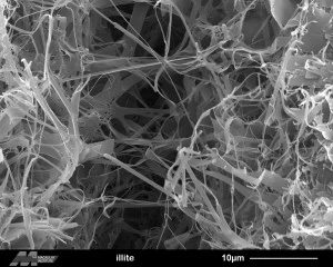 Illite, fibrous. Credit: Evelyne Delbos, James Hutton Institute. Click to see the original source at the 'Images of Clay Archive' of the Mineralogical Society of Great Britain & Ireland and The Clay Minerals Society.