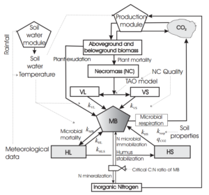 Flow diagram for the MOMOS model coupled with a soil water module and a production module. MB is the microbial biomass, VL is the labile necromass (NC), VS is the stable necromass, HL is the labile humus and HS is the stable humus. Click to download the paper.