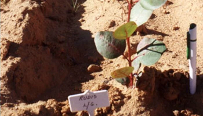 Turning unproductive soil into profits