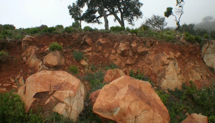 Soil science and policy challenges