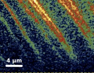 Magnesium bands in the foram shell demonstrate incorporation into the mineral structure. Credit" O Branson, University of Cambridge